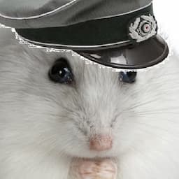 Hamtaro42