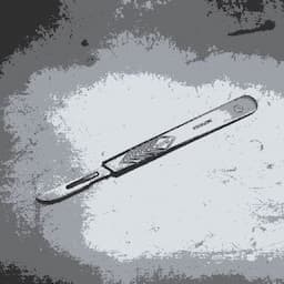 stf