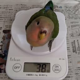 赤ワイン