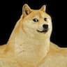ムキムキの犬、ムキムキーヌ